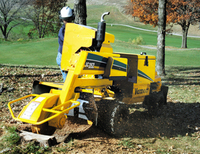 Stump Grinders Photo