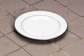 White With Silver Trim Photo