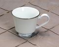 White With Silver Trim Photo