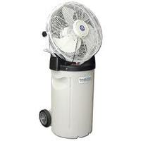 Fans